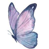 butterfly ripple wings