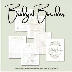 budget binder 