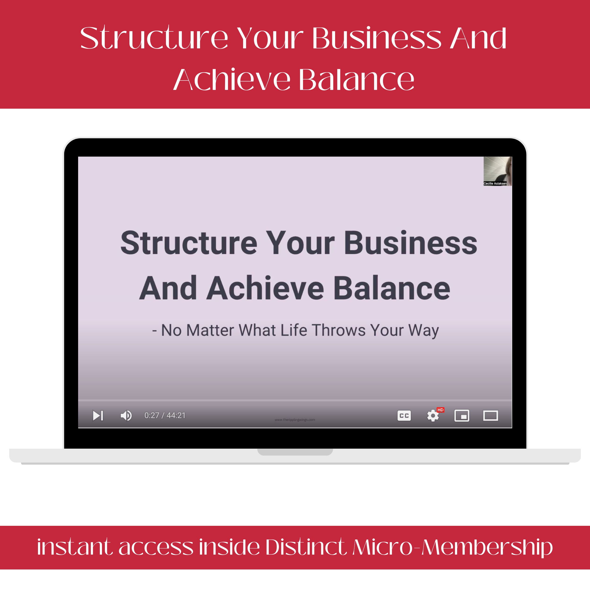 structure your business